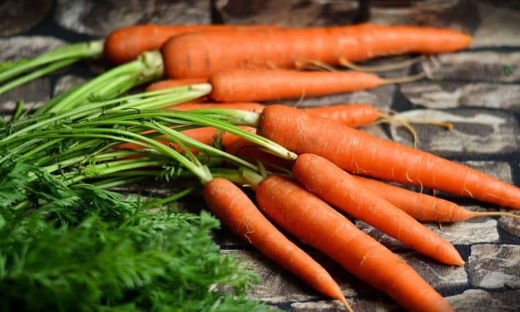 Cultivating Carrots: A Guide to Growing Your Own